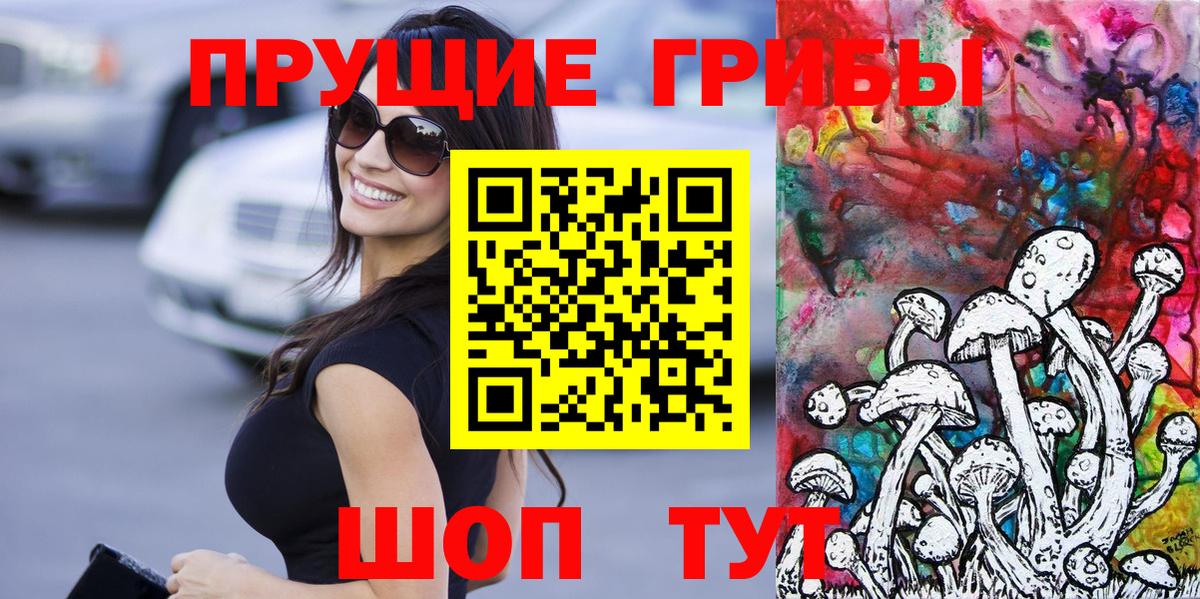 Псилоцибиновые грибы Psilocybe Феодосия