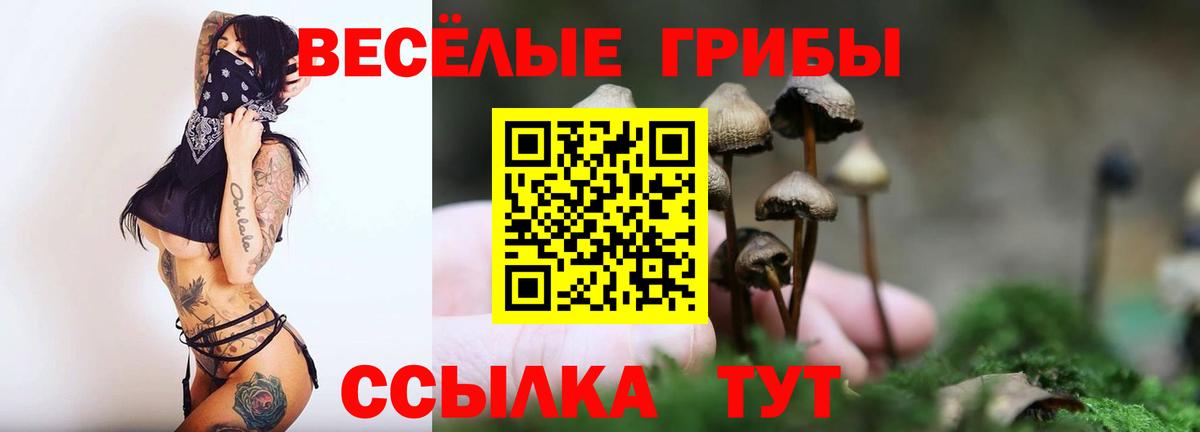 Феодосия  Псилоцибиновые грибы мухоморы  Вход с VPN 
